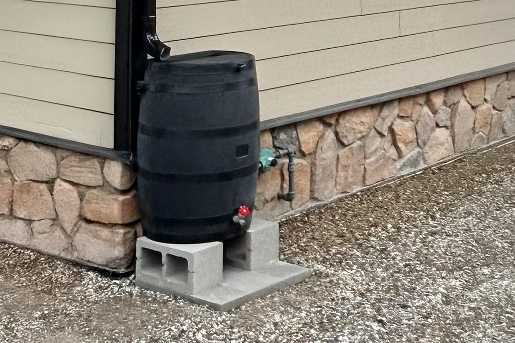 Rain Collection Barrels